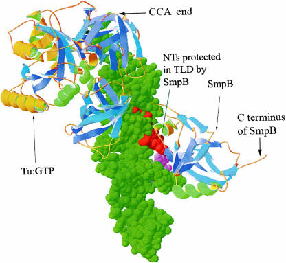 FIGURE 3.