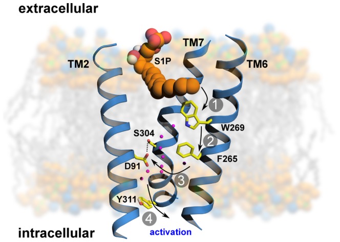 Figure 7