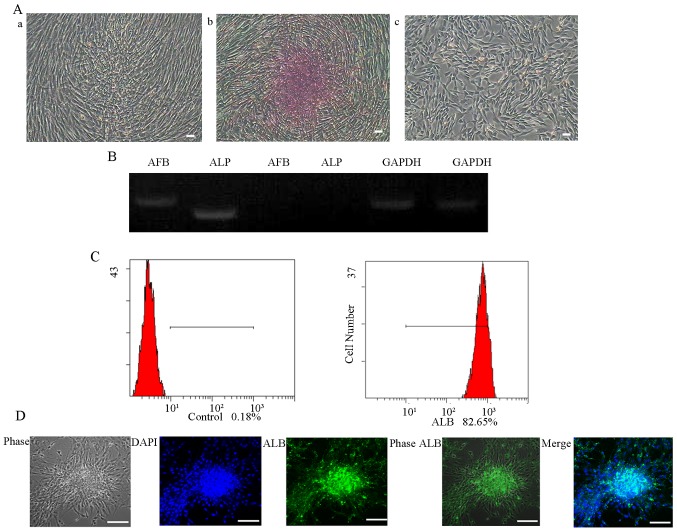 Figure 10.