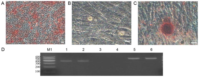 Figure 7.