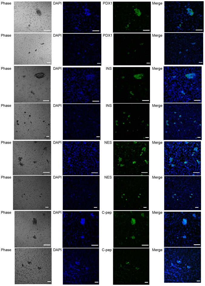 Figure 12.