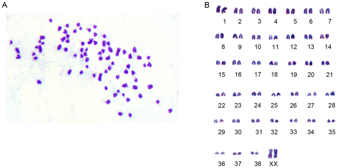 Figure 6.