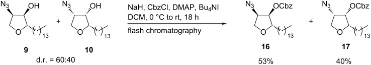 Scheme 7