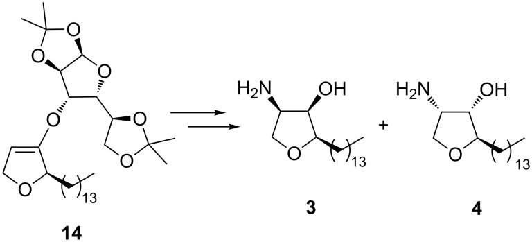 Scheme 9