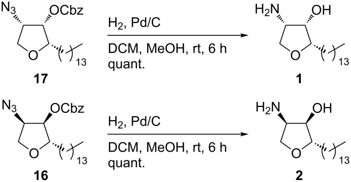 Scheme 8