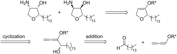 Scheme 2