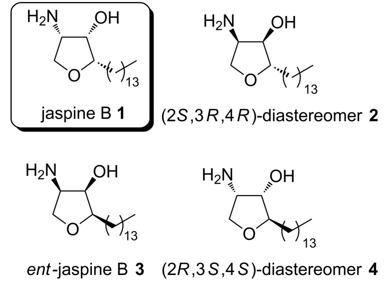 Scheme 1