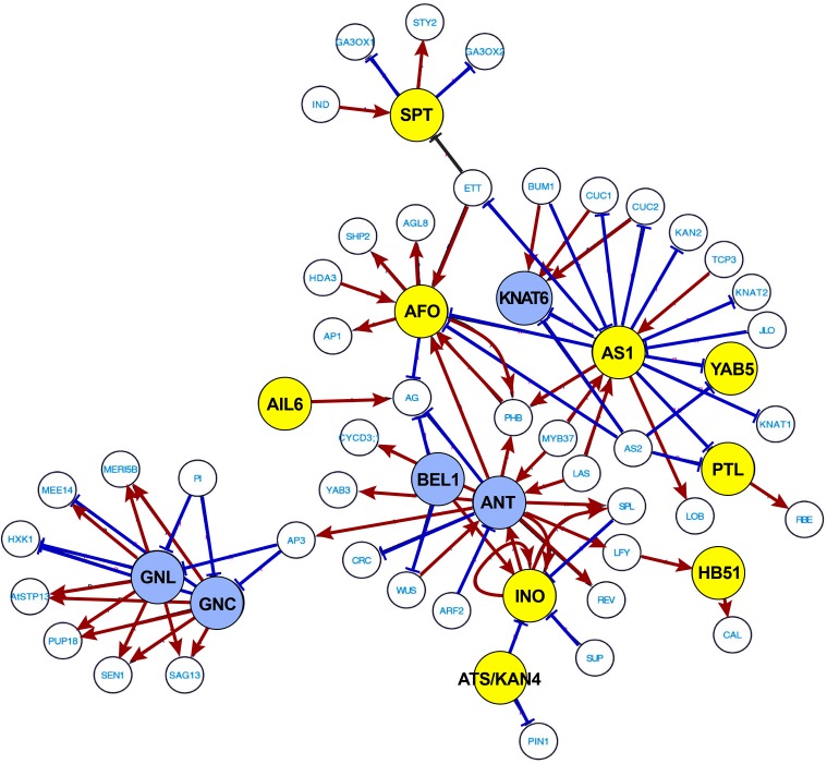 Figure 5