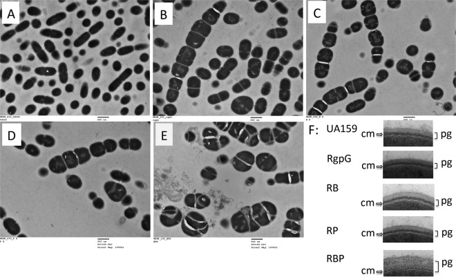 FIG 2