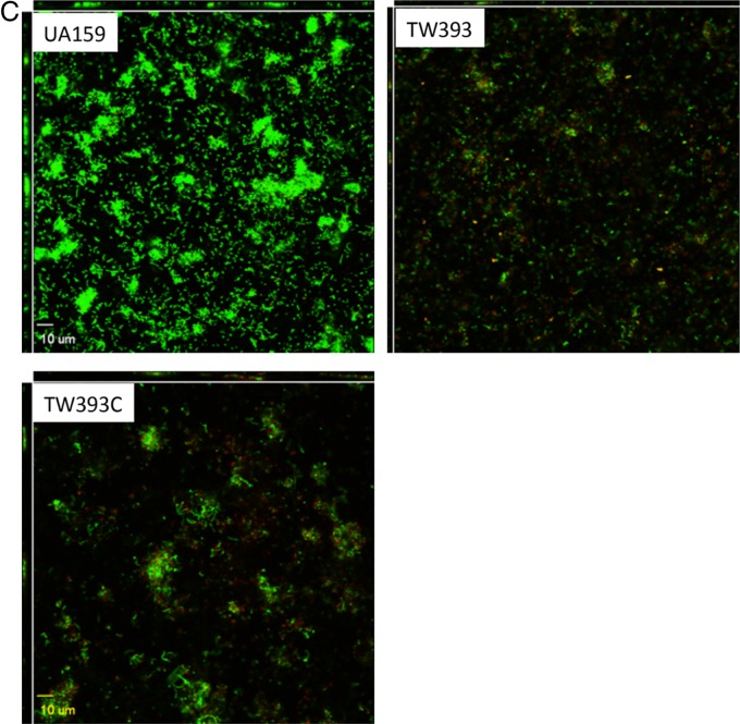 FIG 3