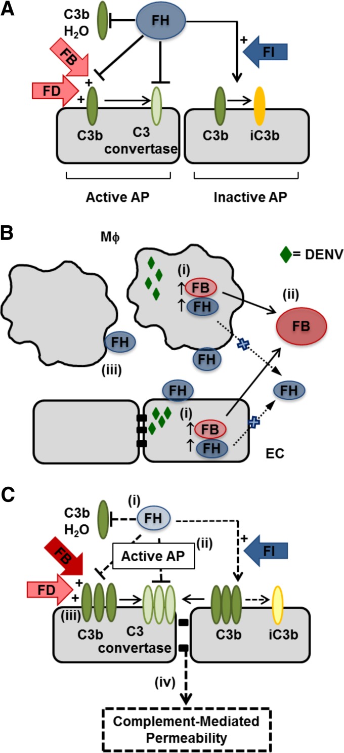 FIG 13