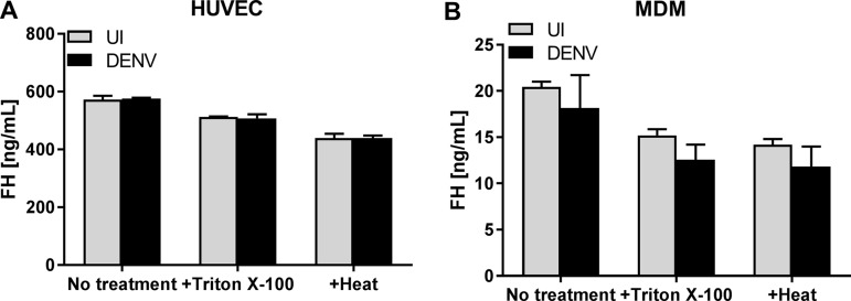 FIG 2