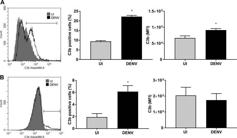 FIG 12