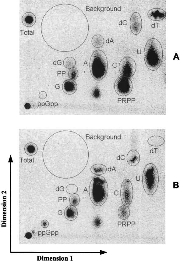 FIG. 4.