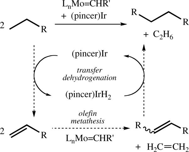 Scheme 1