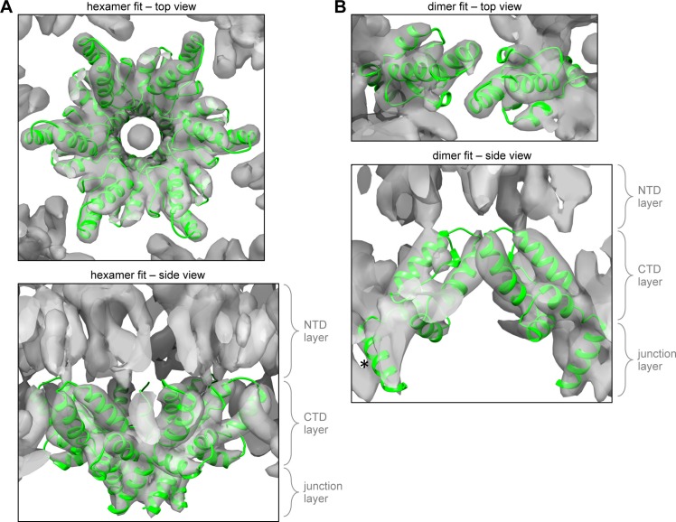 Figure 1—figure supplement 3.