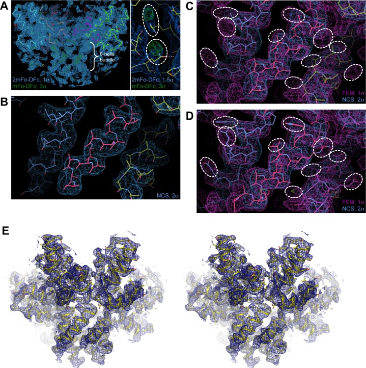 Figure 1—figure supplement 2.