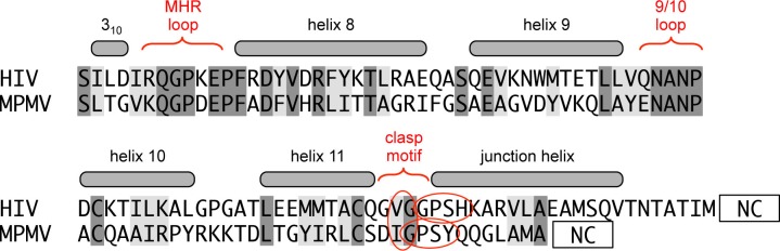 Figure 4—figure supplement 1.