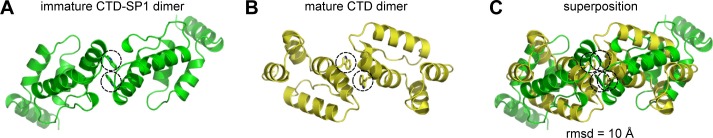 Figure 2—figure supplement 1.