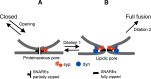 Figure 11.
