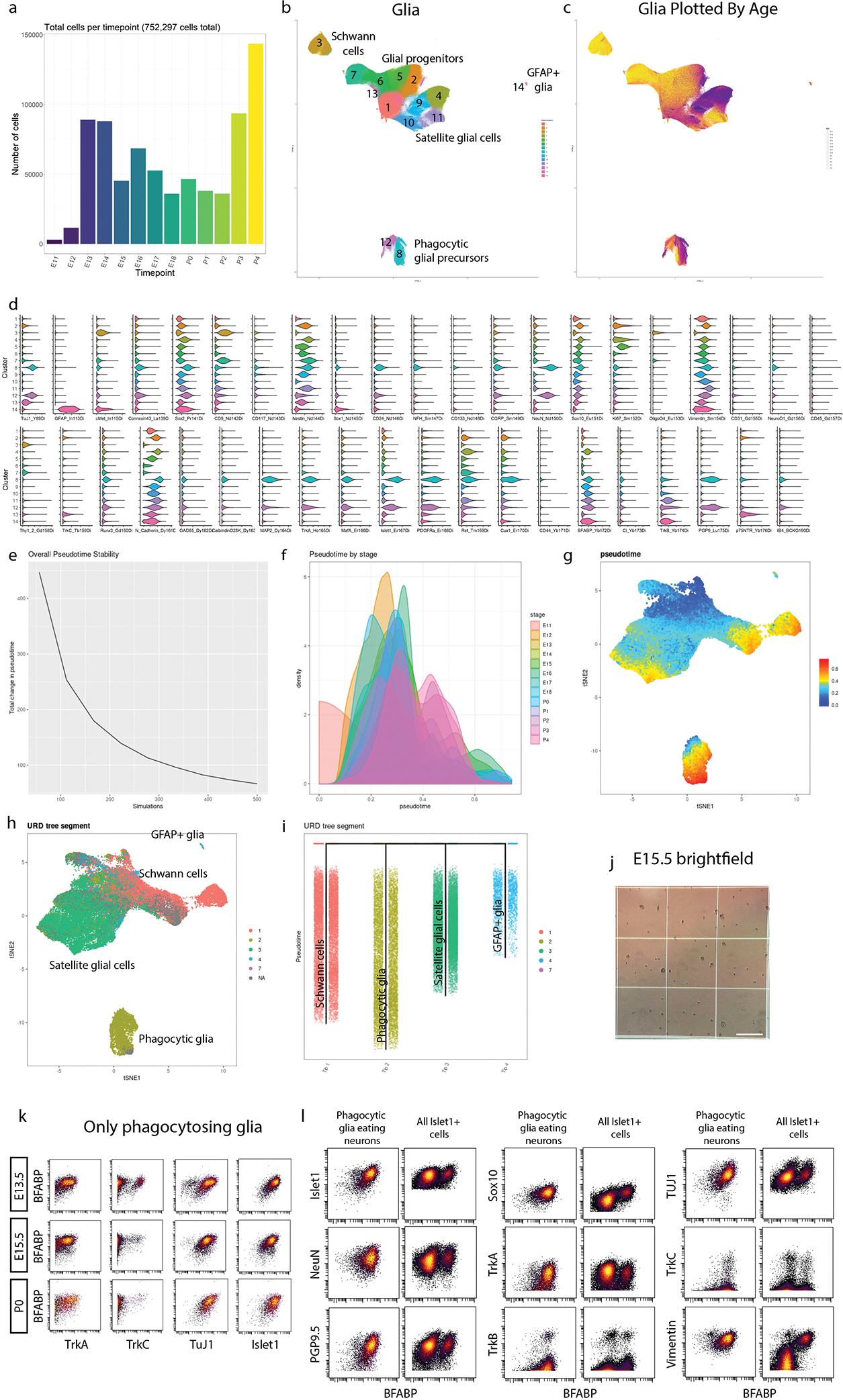 Extended Data Fig. 5