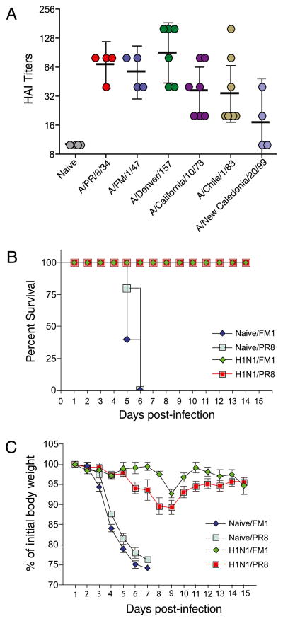 FIGURE 3