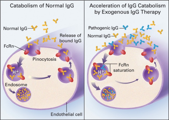 JNS-12262-FIG-0002-c