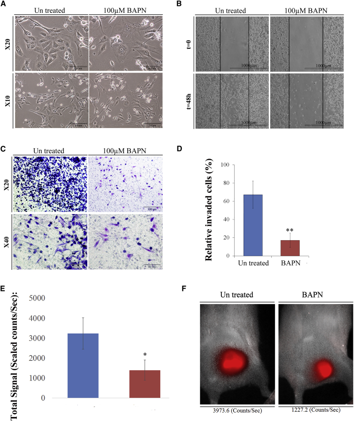 Figure 6