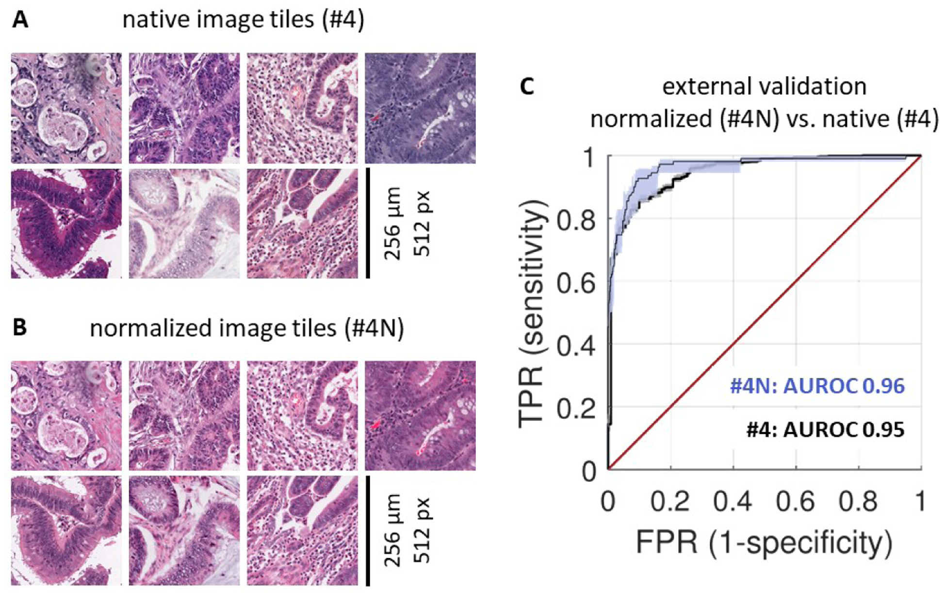 Figure 4: