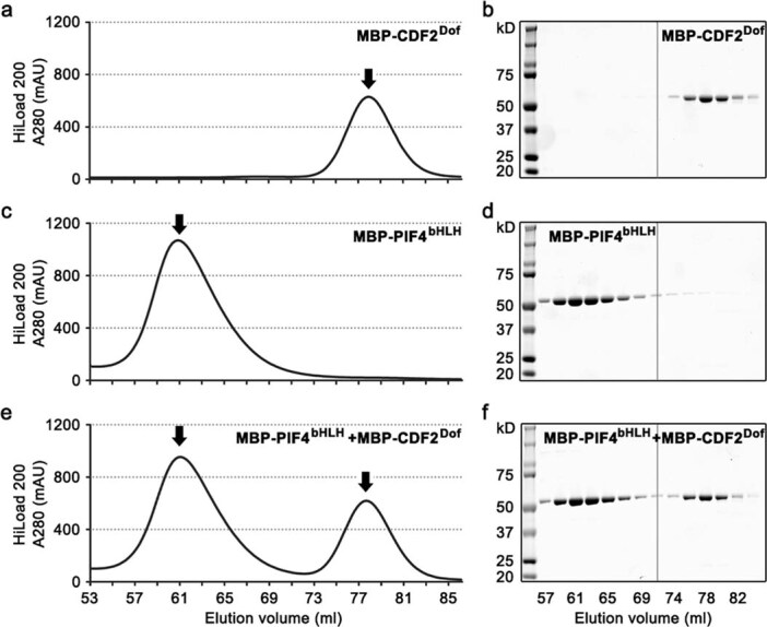 Extended Data Fig. 10