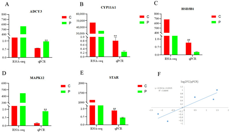 Figure 5