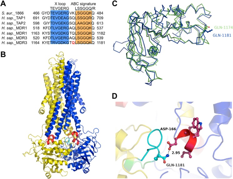 FIGURE 5.