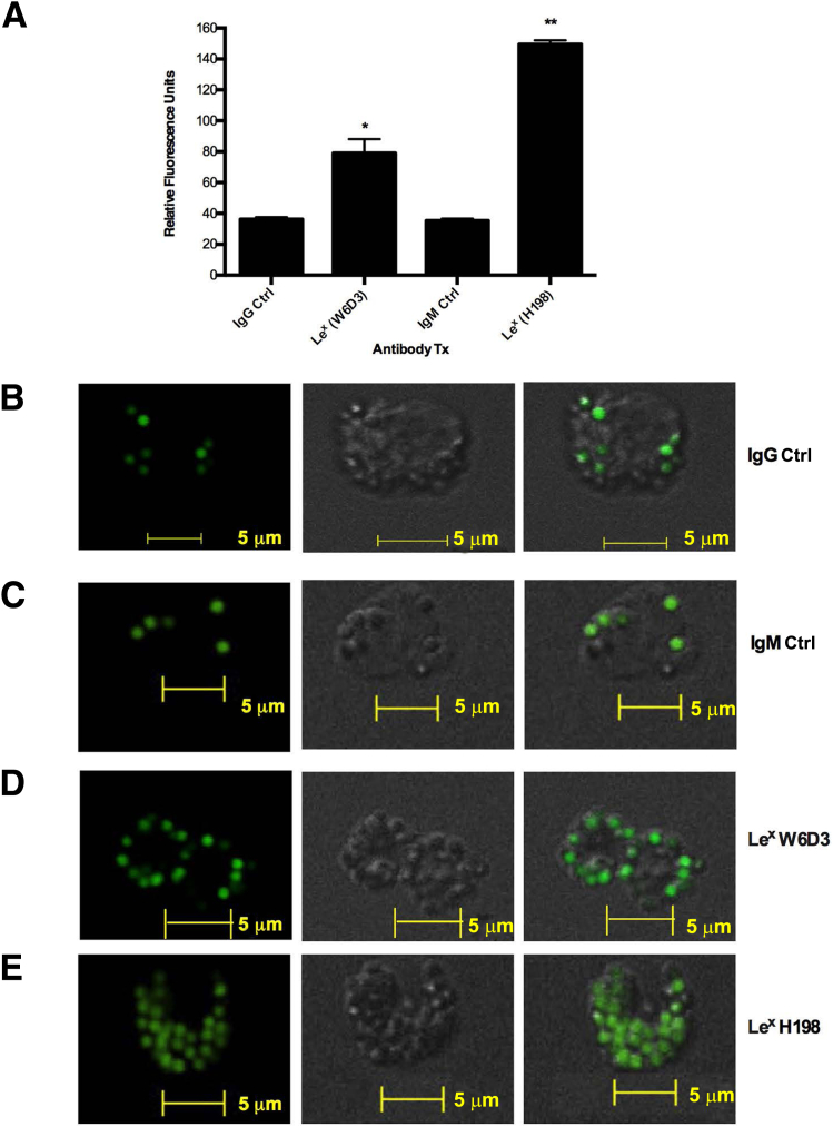 Figure 5