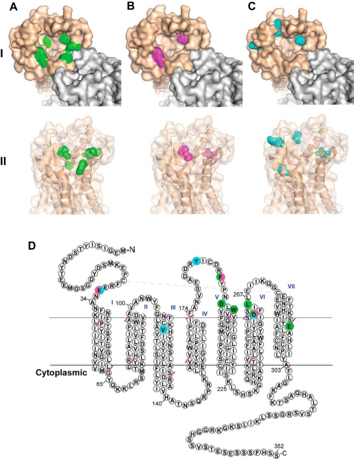 FIGURE 6.