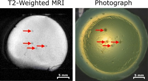 Fig. 9