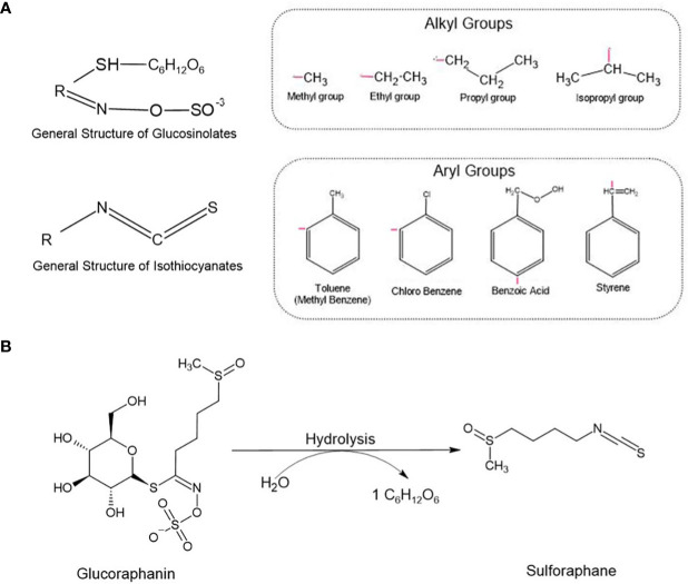 Figure 1