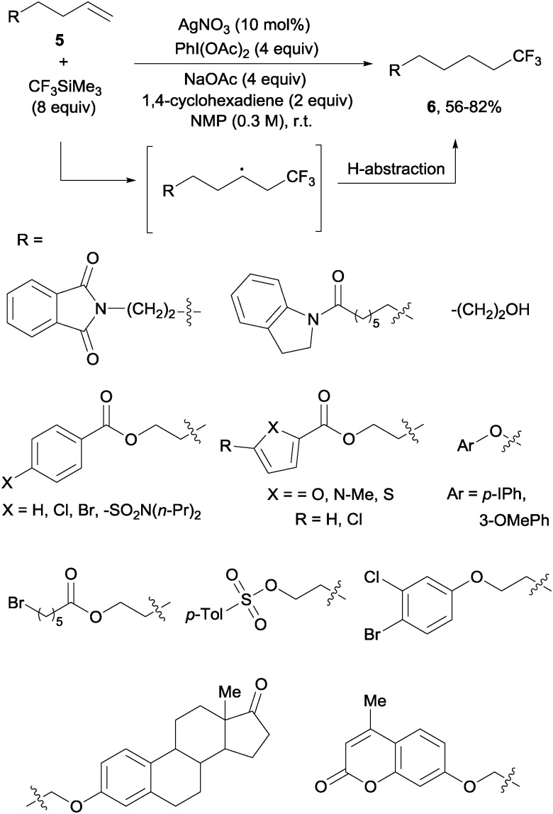 Scheme 3