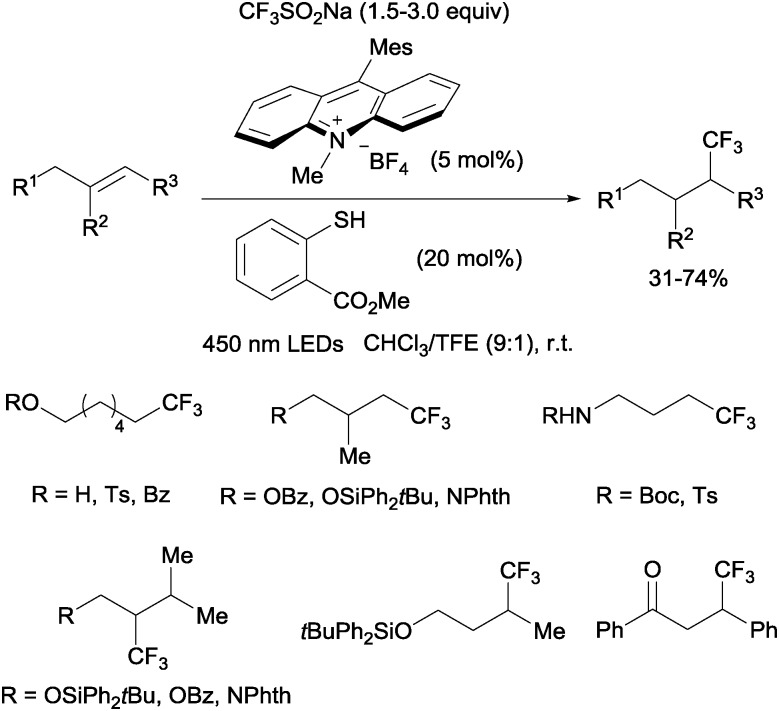 Scheme 6