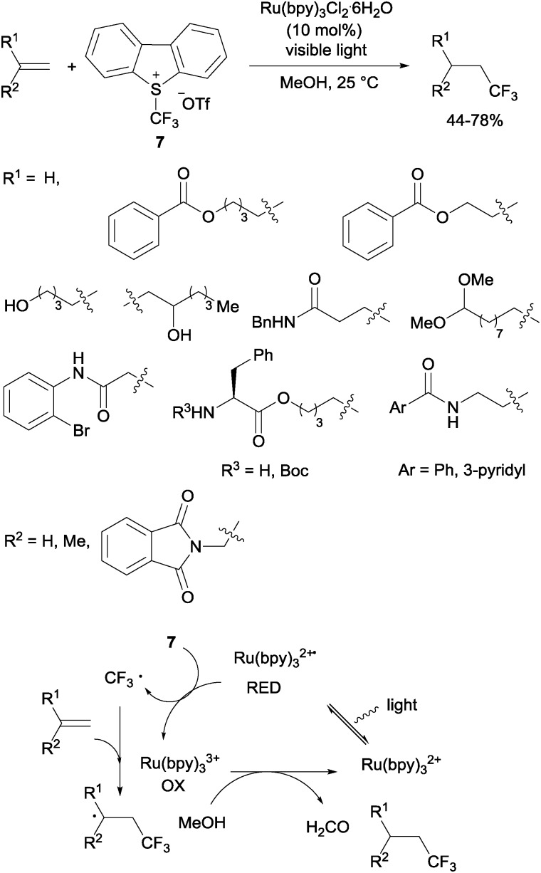 Scheme 4