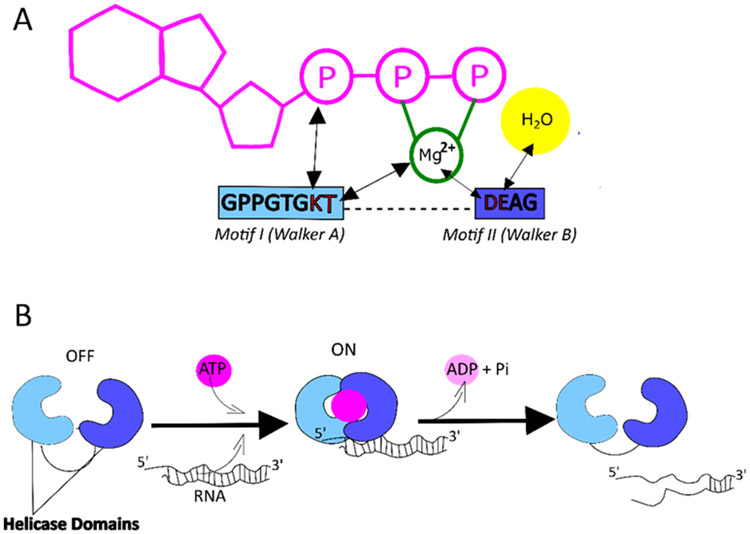 Figure 2: