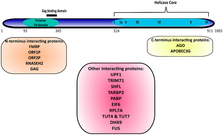 Figure 3: