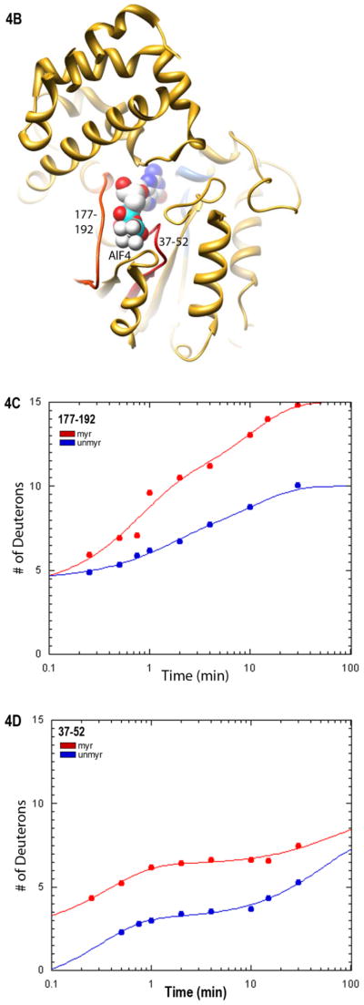 Fig. 4