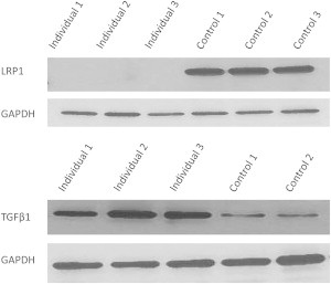 Figure 4