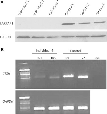 Figure 3