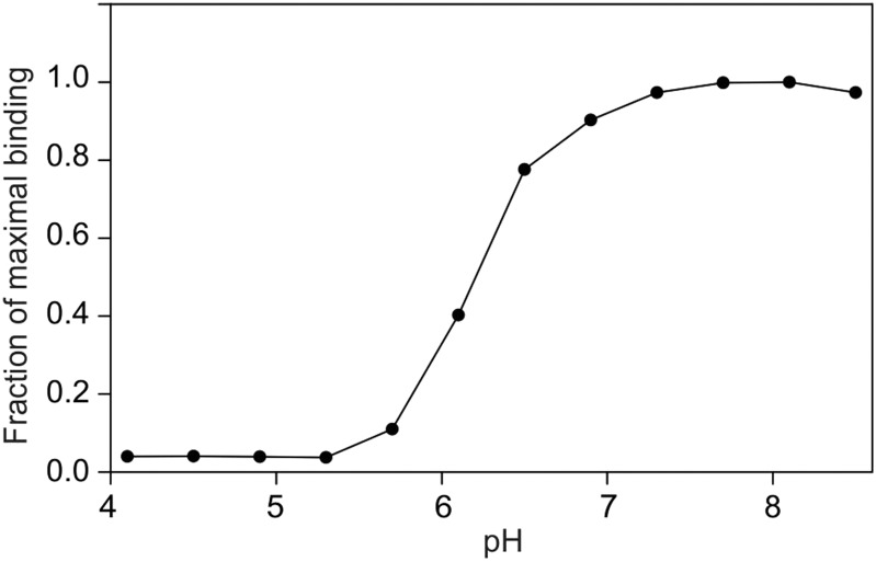 Fig. 5.