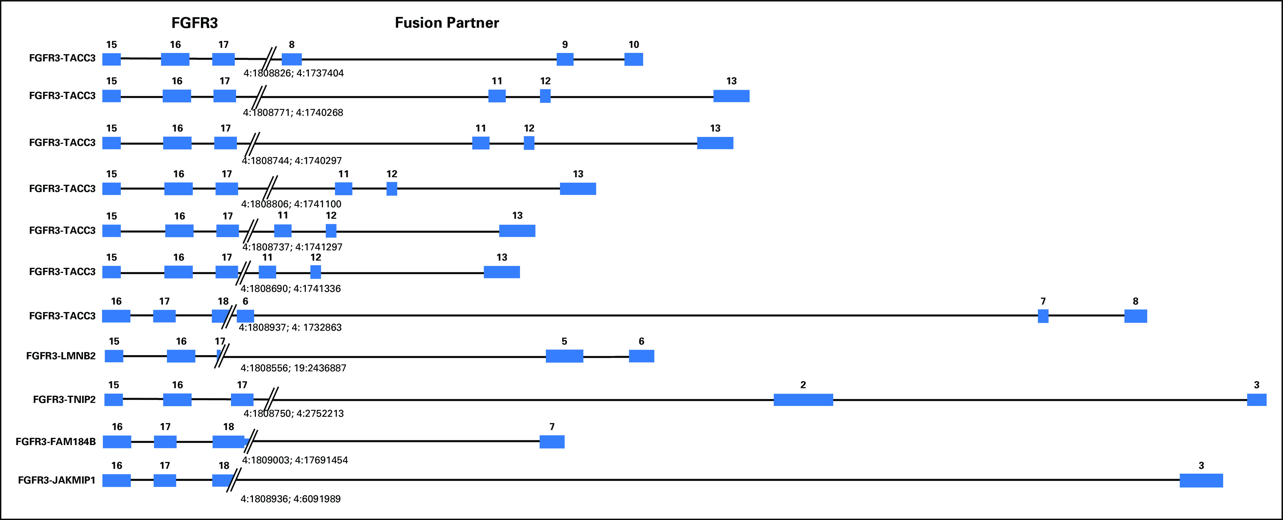 Fig 2.