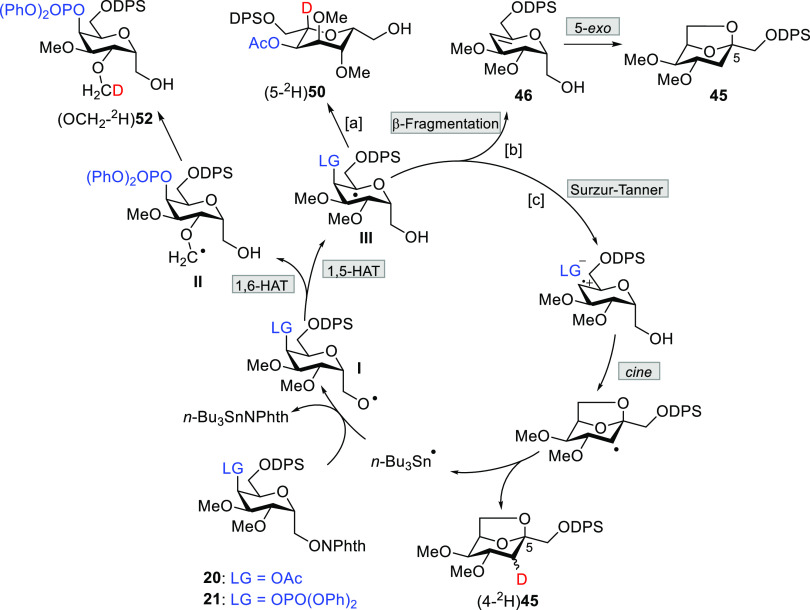 Scheme 3