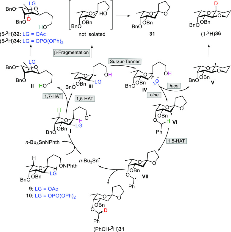 Scheme 2