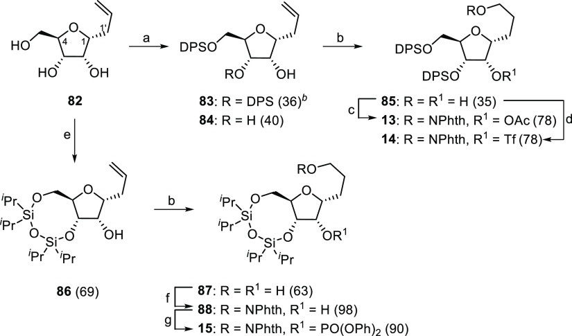 Scheme 5