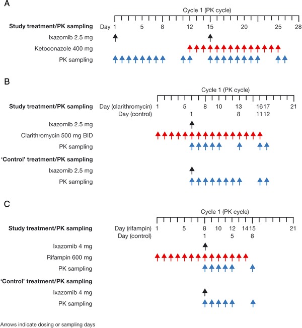 Effects of Strong CYP3A Inhibition and Induction on the ...